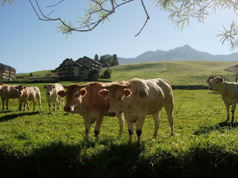Haut De Chalet 6 P Villard De Lans エクステリア 写真